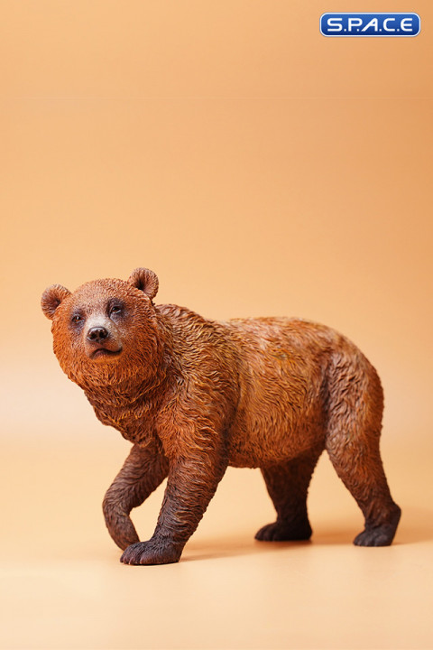 1/6 Scale little brown bear Version B3