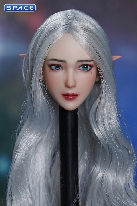 1/6 Scale Alaniel Head Sculpt (silver hair)