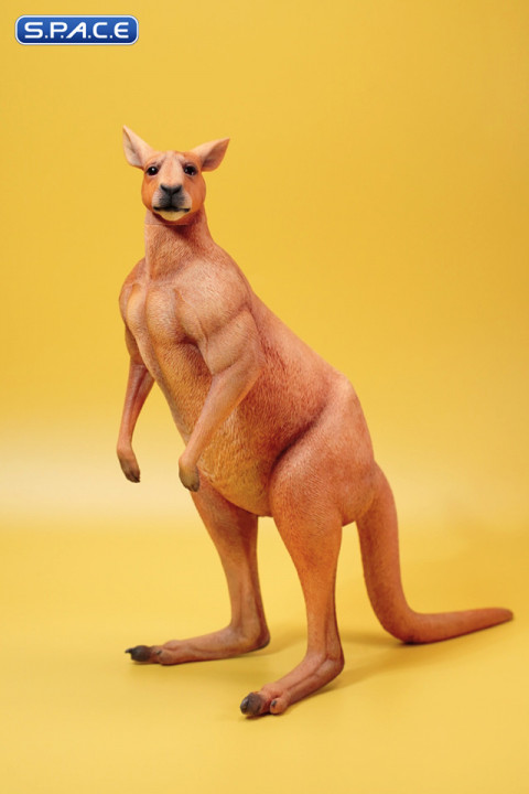 1/6 Scale Kangaroo