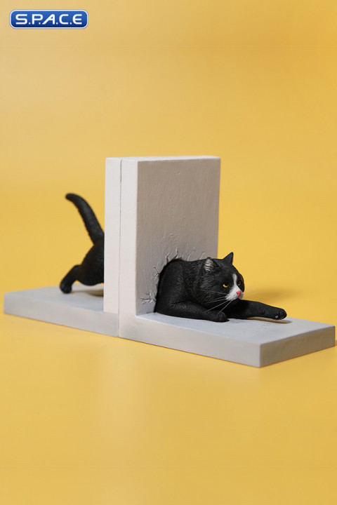 1/6 Scale Cat through the Wall (black)