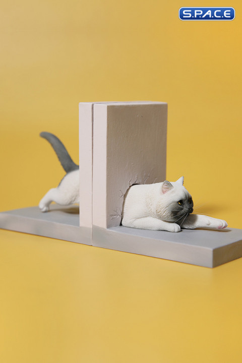1/6 Scale Cat through the Wall (white)