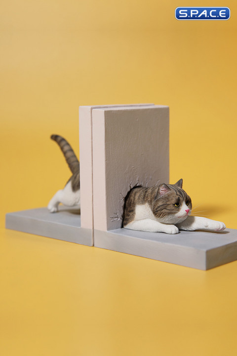 1/6 Scale Cat through the Wall (brown)