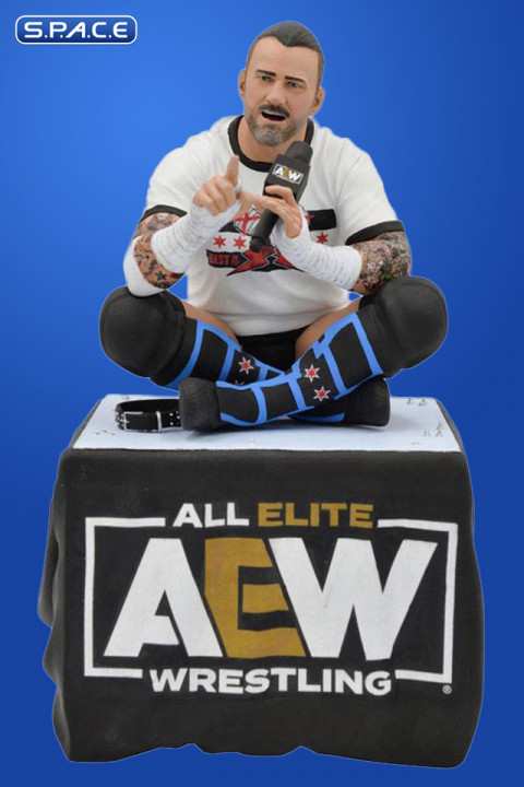 CM Punk Gallery PVC Statue (AEW)