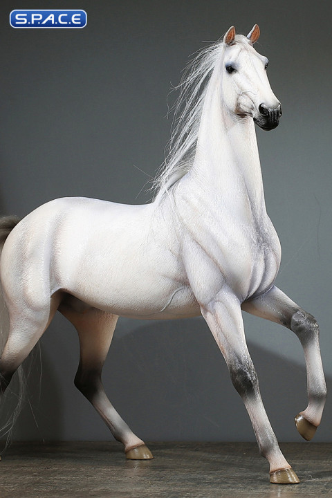 1/6 Scale Duweime Horse (white)