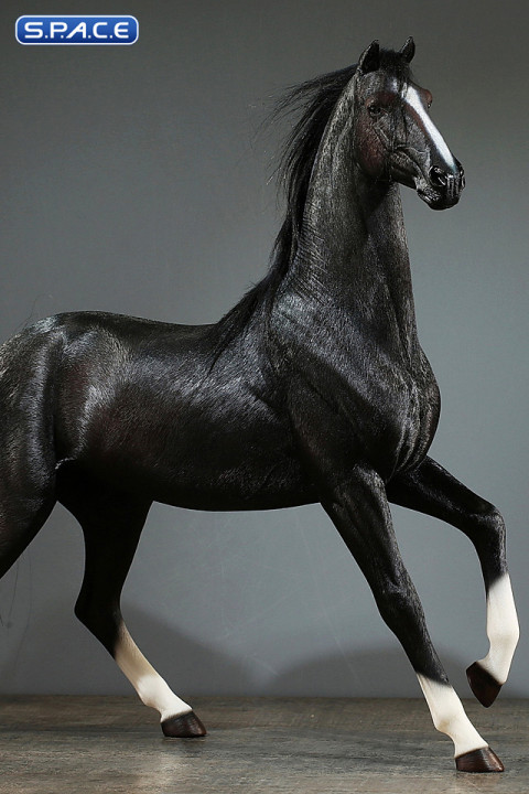 1/6 Scale Duweime Horse (black)