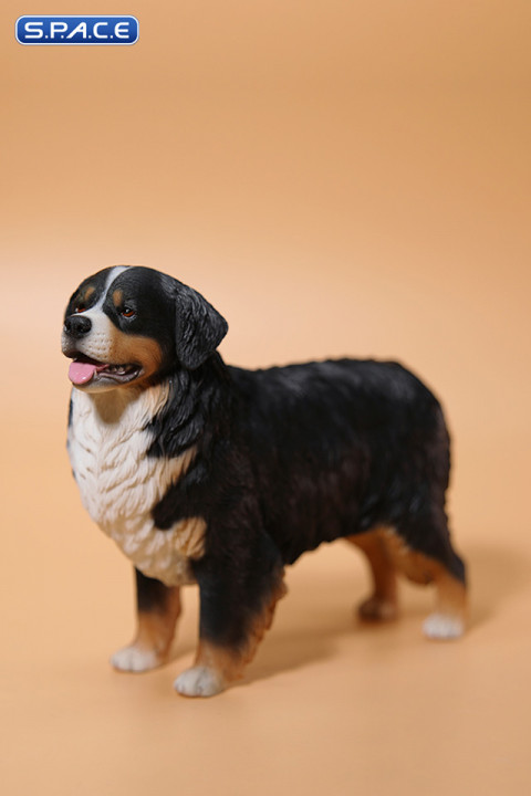 1/6 Scale Bernese Mountain Dog