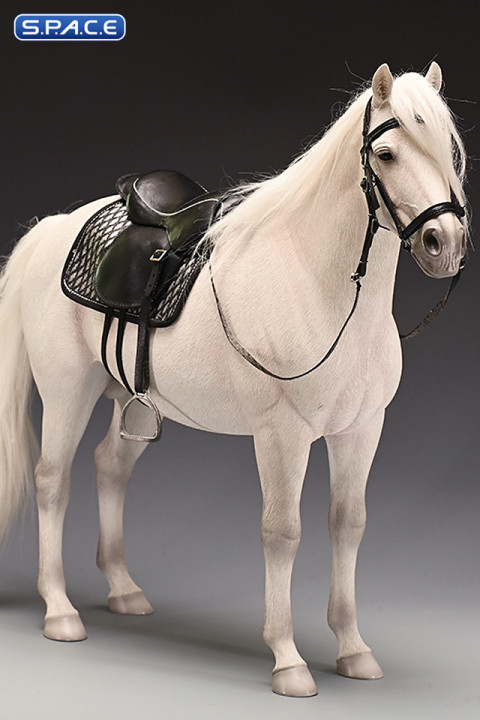 1/6 Scale Dutch Warmblood Horse (white)