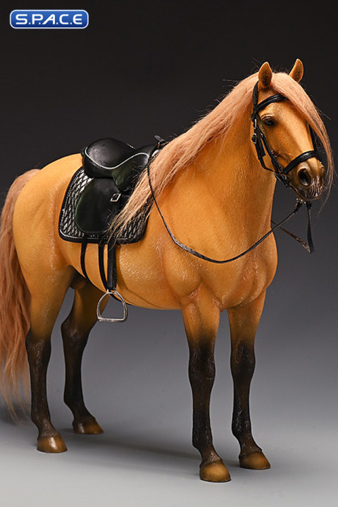 1/6 Scale Dutch Warmblood Horse (buckskin)