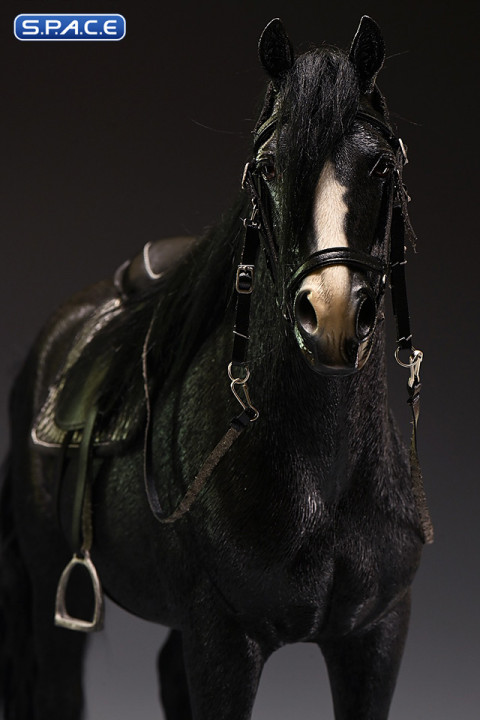 1/6 Scale Dutch Warmblood Horse (black)