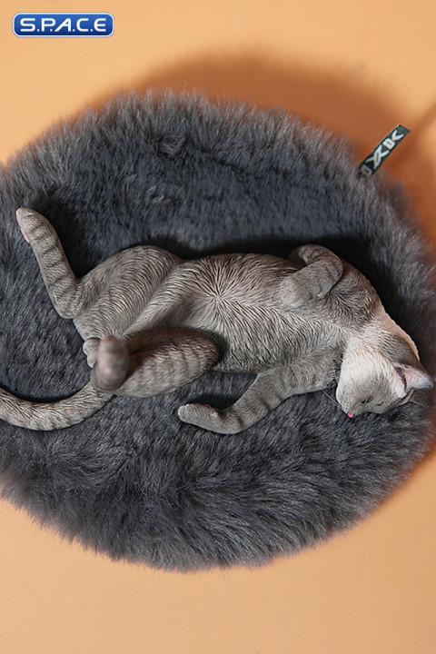 1/6 Scale Cat in dorsal position (grey)