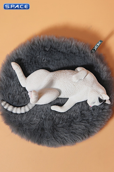 1/6 Scale Cat in dorsal position (white)