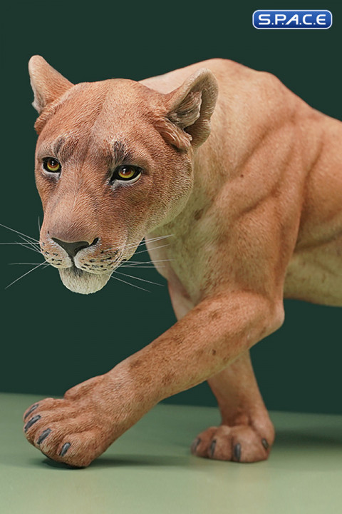 1/6 Scale Lioness Version A