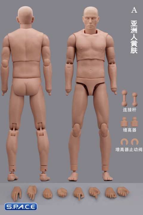 1/6 Scale Male Body MH2201A