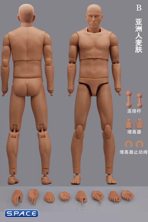 1/6 Scale Male Body MH2201B