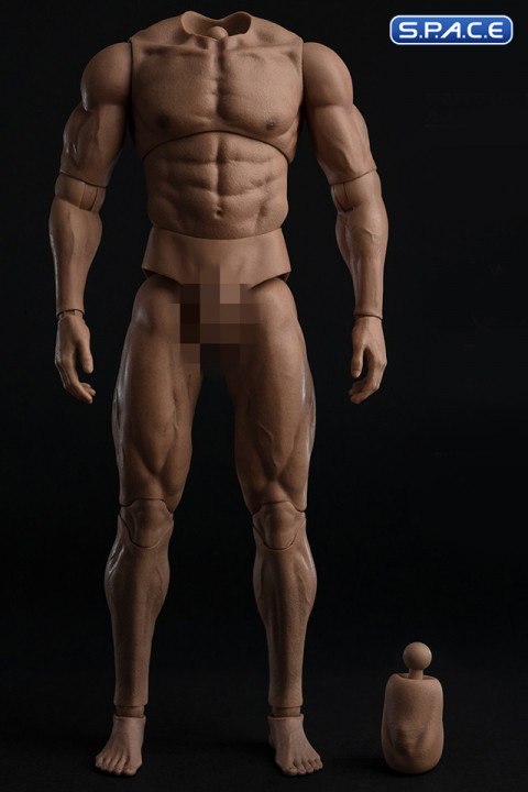 1/6 Scale Durable Male Body AT044