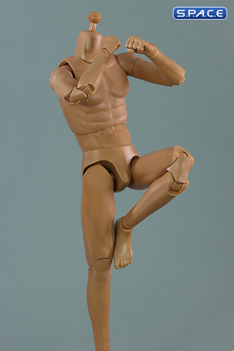 1/6 Scale Standard Male Body - New Type DT002