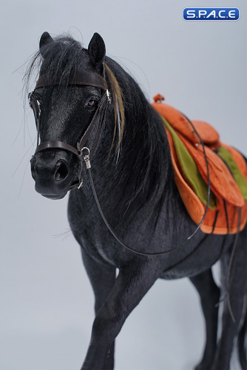 1/6 Scale Mongolian Horse (black)