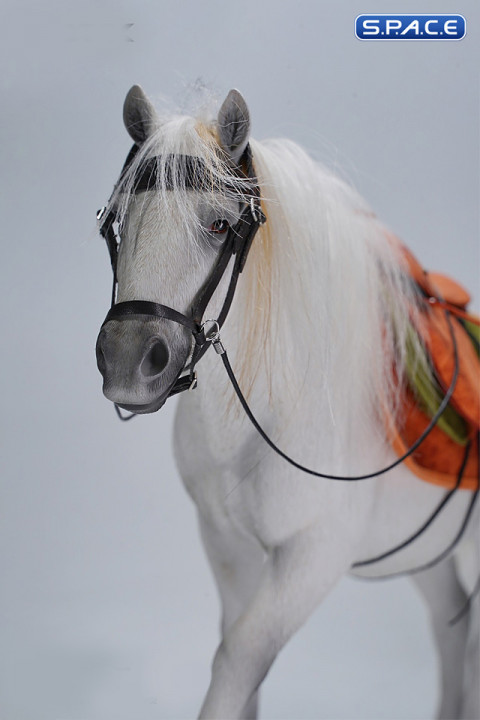 1/6 Scale Mongolian Horse (white)