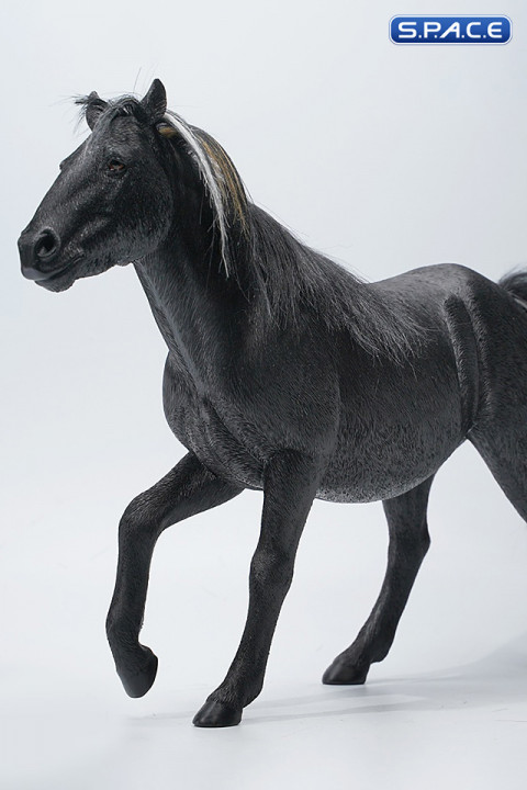 1/6 Scale jog trot Mongolian Horse (black)