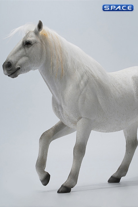 1/6 Scale jog trot Mongolian Horse (white)