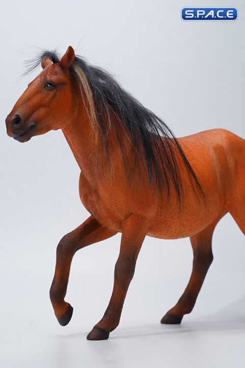 1/6 Scale jog trot Mongolian Horse (brown)