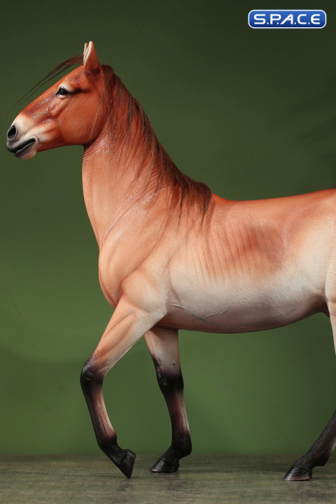 1/6 Scale Hailar Horse Version 4