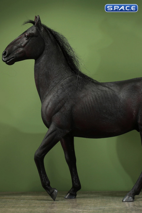 1/6 Scale Hailar Horse Version 6