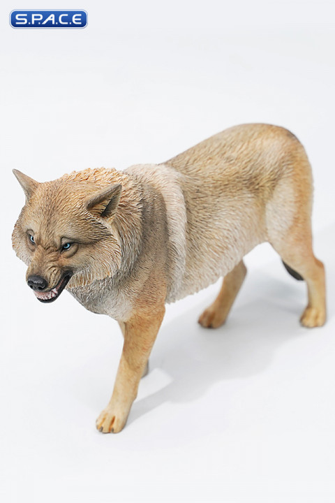 1/6 Scale Tibetan Wolf Version C1