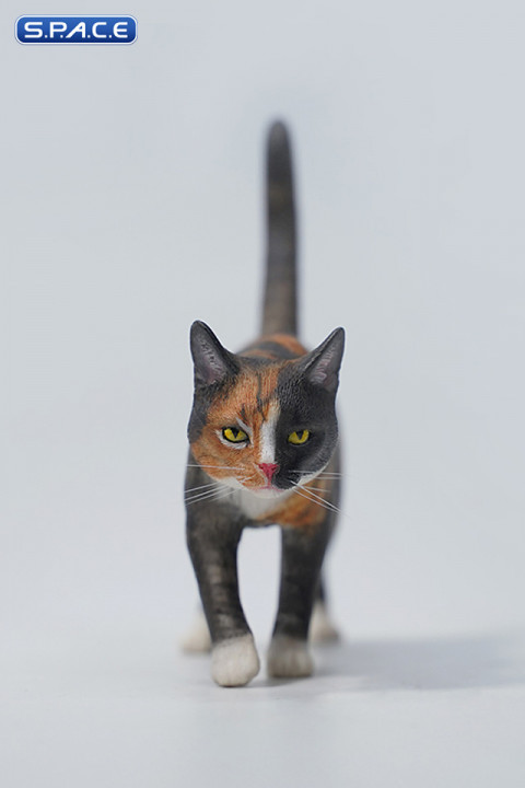 1/6 Scale Felis Catus Version C