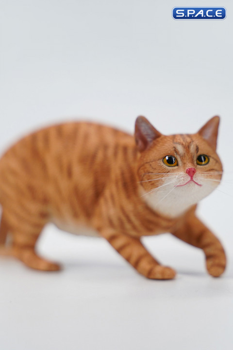 1/6 Scale Felis Catus 3.0 Version A3