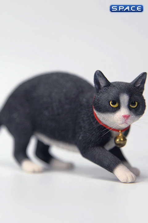 1/6 Scale Felis Catus 3.0 Version B2