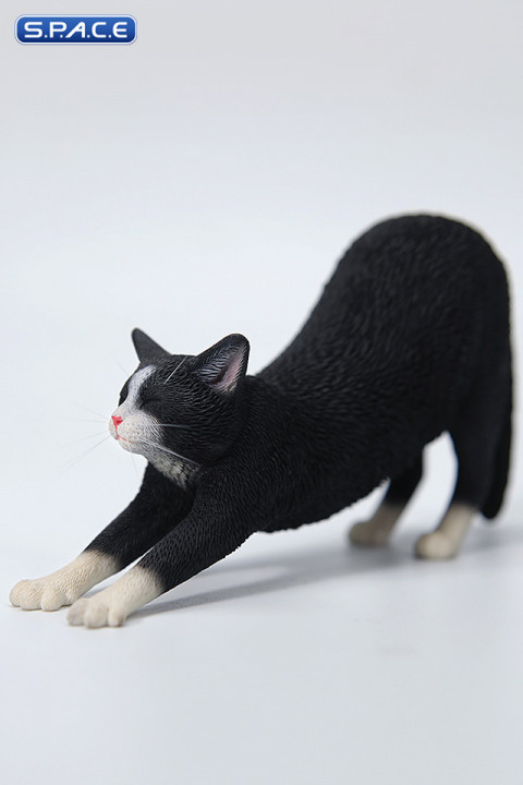 1/6 Scale stretching Cat Version A