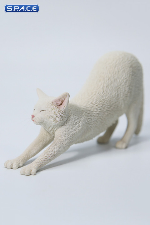 1/6 Scale stretching Cat Version B
