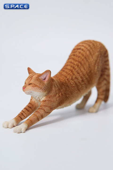 1/6 Scale stretching Cat Version C