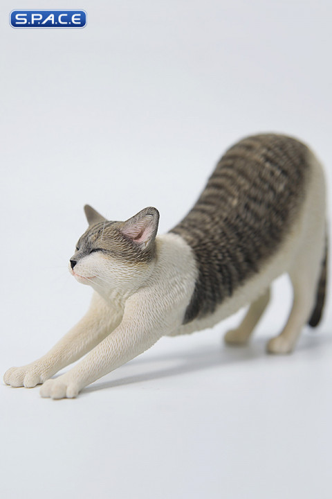 1/6 Scale stretching Cat Version D