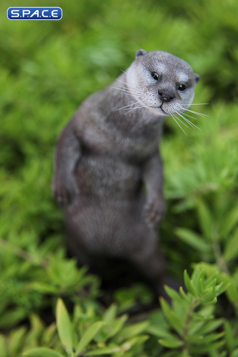 1/6 Scale Otter (grey)