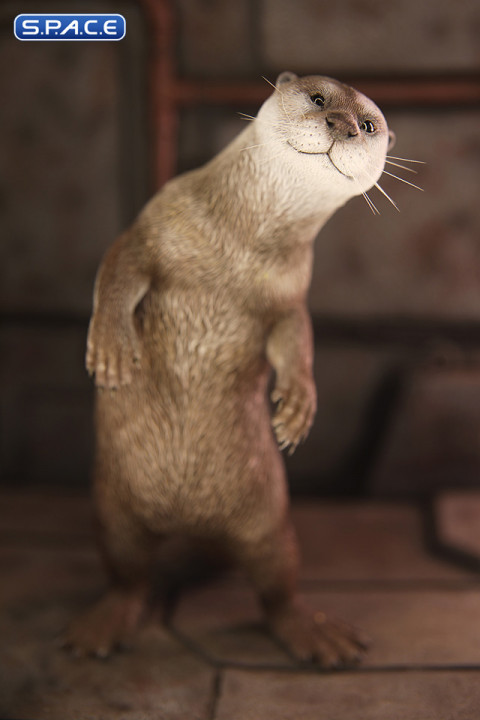 1/6 Scale Otter (brown)