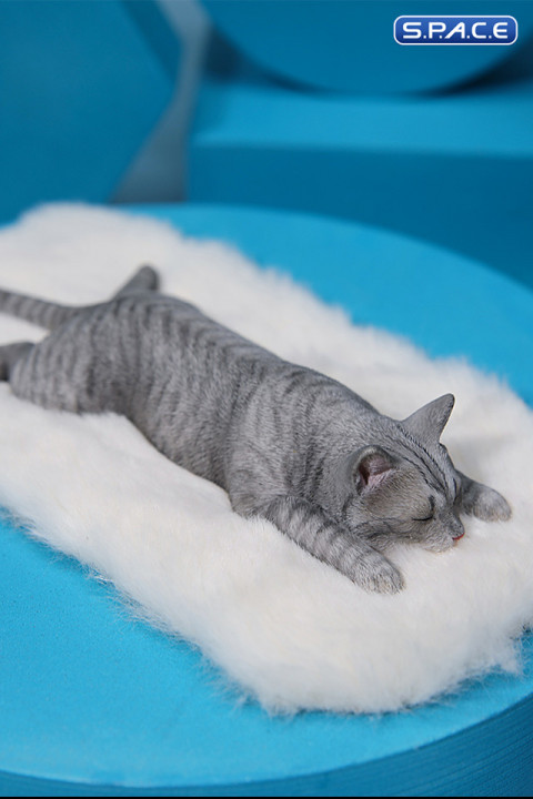 1/6 Scale lying Cat (grey)