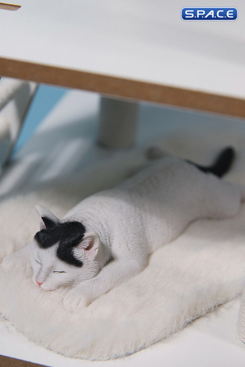 1/6 Scale lying Cat (white)