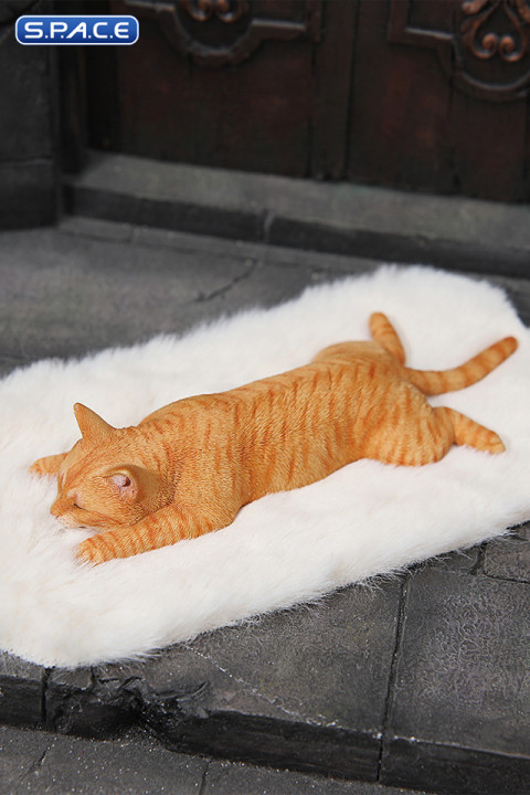 1/6 Scale lying Cat (red)