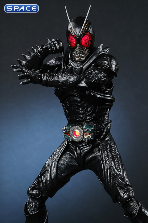 1/6 Scale Kamen Rider Black Sun TV Masterpiece TMS100 (Kamen Rider Black Sun)