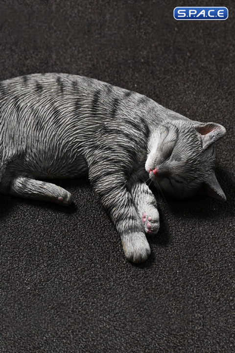 1/6 Scale slumbering Cat (grey)