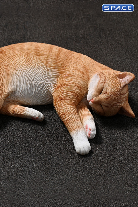 1/6 Scale slumbering Cat (red)