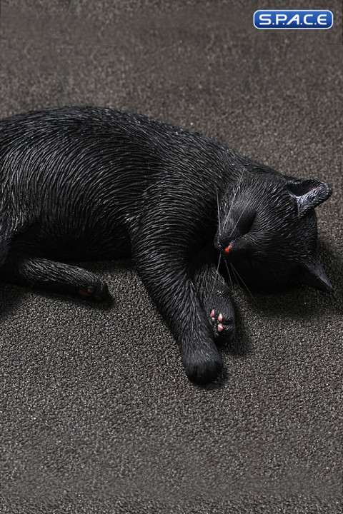 1/6 Scale slumbering Cat (black)