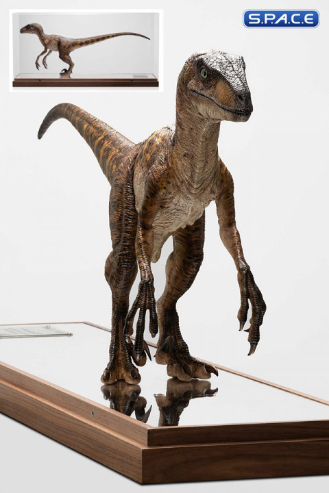 Clever Girl Velociraptor Maquette with Acryl Case (Jurassic Park)
