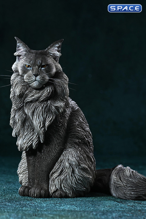 1/6 Scale sitting Maine Coon (black)