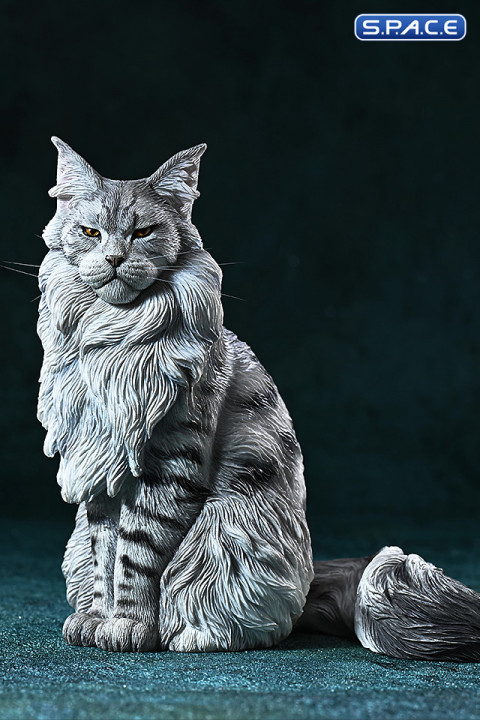 1/6 Scale sitting Maine Coon (grey)