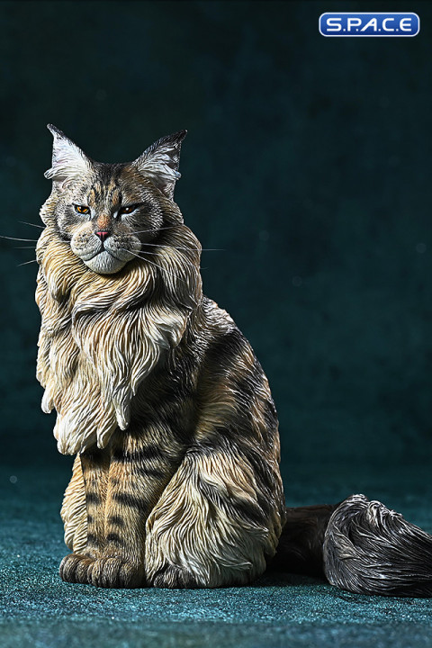 1/6 Scale sitting Maine Coon (brown)