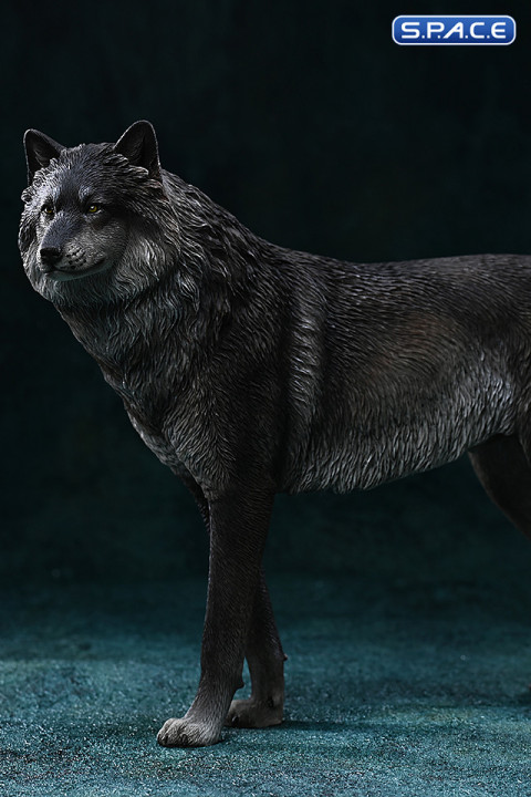 1/6 Scale Arctic Wolf Version A