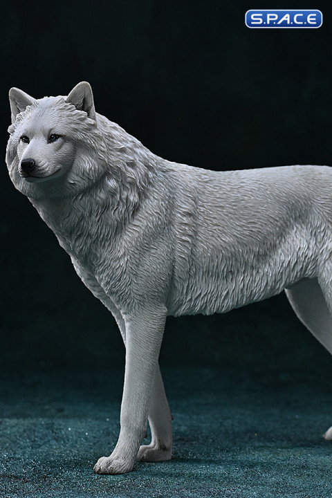 1/6 Scale Arctic Wolf Version C